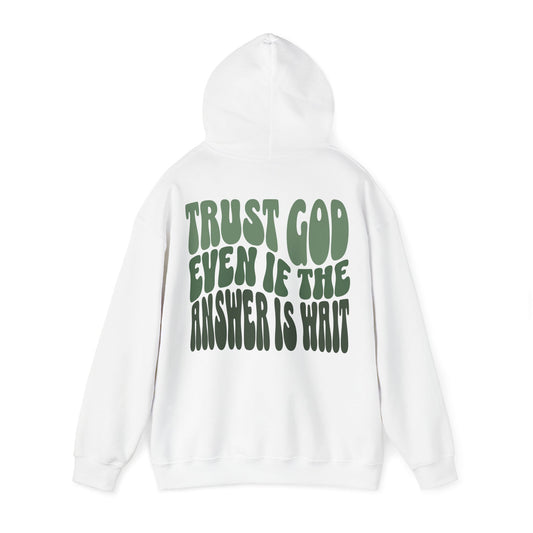 Trust God Unisex Heavy Oversized Hoodie